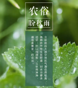 , ȫһҪô, ٲȫ, һ겻