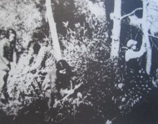 Ĵ֪ʷĴһ֧־ԸѻĶӣ壩