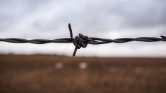 中国拿200亿美元贴息贷款换印度撤军?这是一则谣言