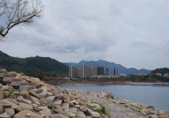 解决企退工程师(中级职称)养老金特低的问题刻不容缓