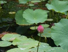 200ּйأƼһʵáָϣ