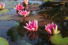 ɽ          2017.10.7