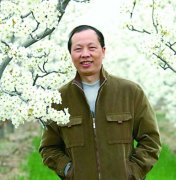 ѧ糤ҽ飺Ͷ벿ִͳѧ