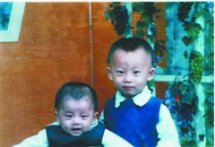 陈氏兄弟和寒武纪