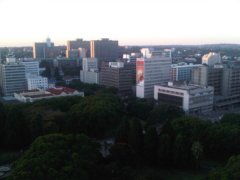 ͲΤʮͨ͡Ǯֽʧշη籩