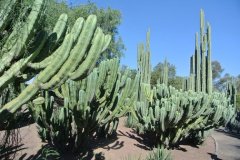 墨西哥旅游(之一)