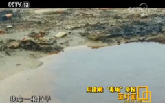 岻ȱϯ°ﳬ꼸򱶣д¡顱ҲҪٱ