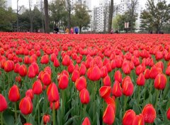 ί֯ձϿչ᳹ʵʮŴĻ