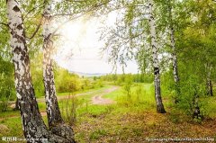 刘邦为何堪称高明政治家