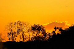 йĸо״ǰ DD̸йĸо