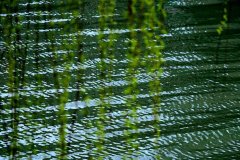 麣ټؾ:ĸʹѵҵġṲۡ