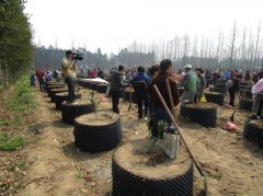 养老金报告:2022年不到2个缴费者养1个退休者