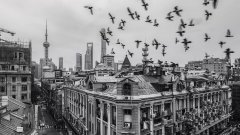 他们和上海,梦想和传奇