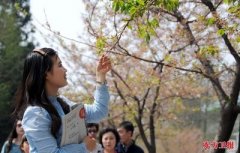 中国女性地位高?外国人看法“分裂”