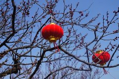 《2018春节世纪公园》