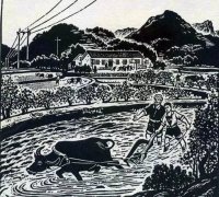 孙成民:知青上山下乡政策的经济社会背景考略