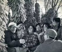 历史将告诉人们:知识青年上山下乡是推动社会进步的伟大壮举!