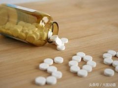 Ҫѣ֧ǧͣ͡Ͱ˾ƥ֣