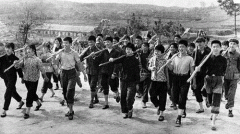 知青上山下乡是新中国的战略决策--兼评“就业危机”之说(中)