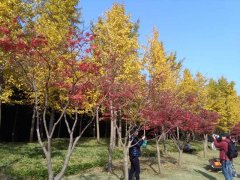 注意了,新华社又公布一批禁用词!