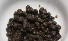 这种豆是打通血管最好的"天然药",请为自己和家人收藏~