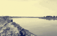 黄河岸边的追思