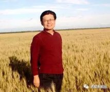 肖复兴:北大荒知青生活回忆之——那个温暖了北大荒的孙铁匠