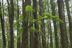 19942014 Һʹ졷Ϻ֪20