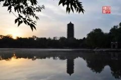 北大教授郑也夫:鸿鹄、质疑,与一段往事