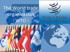 ͷԹ˰WTO