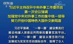中央外事工作委员会领导层出炉