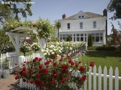 㷢εӣΰ--ĸ￪40꣩