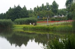 《寂静的后滩》二首