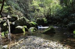 Ϸǣʫΰ--ĸ￪40꣩