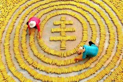 йũޣдڵһйũսڡ֮