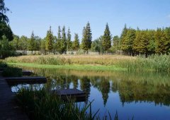 知青原创诗二首