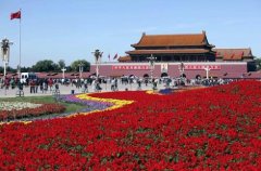 中央纪委国家监委公开曝光五起 涉黑涉恶腐败和"保护伞"典型案