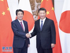 视频:习近平会见日本首相