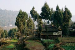 µķ磨ΰ--ĸ￪40꣩