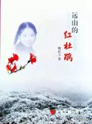 一本知青书的遭遇