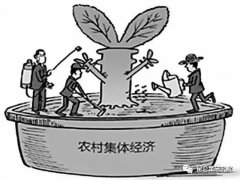 发展农村集体经济要有创新思维