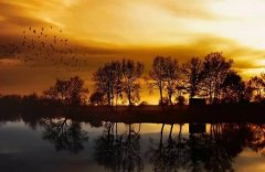 紀念知識青年上山下鄉50周年诗