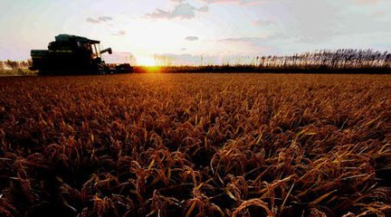 追忆青春——50周年纪念有感