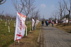 中华知青纪念碑在上海海湾森林公园落成有感