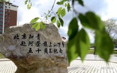 关于阿荣旗北京知青纪念石的报告