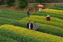 农村改革开放40年成就辉煌--改革铺展乡村振兴之路