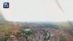 辛识平:治理顽疾就得一抓到底