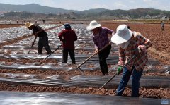 ũҵũ岿:2020ũ˾2010귭һ