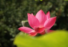 򽨹ʮ빲͹ͬСӰչƷ