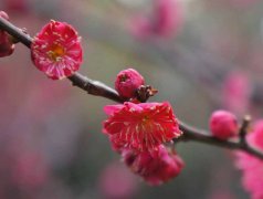 教育部正式宣布:9年义务教育大变动!关乎每个孩子!